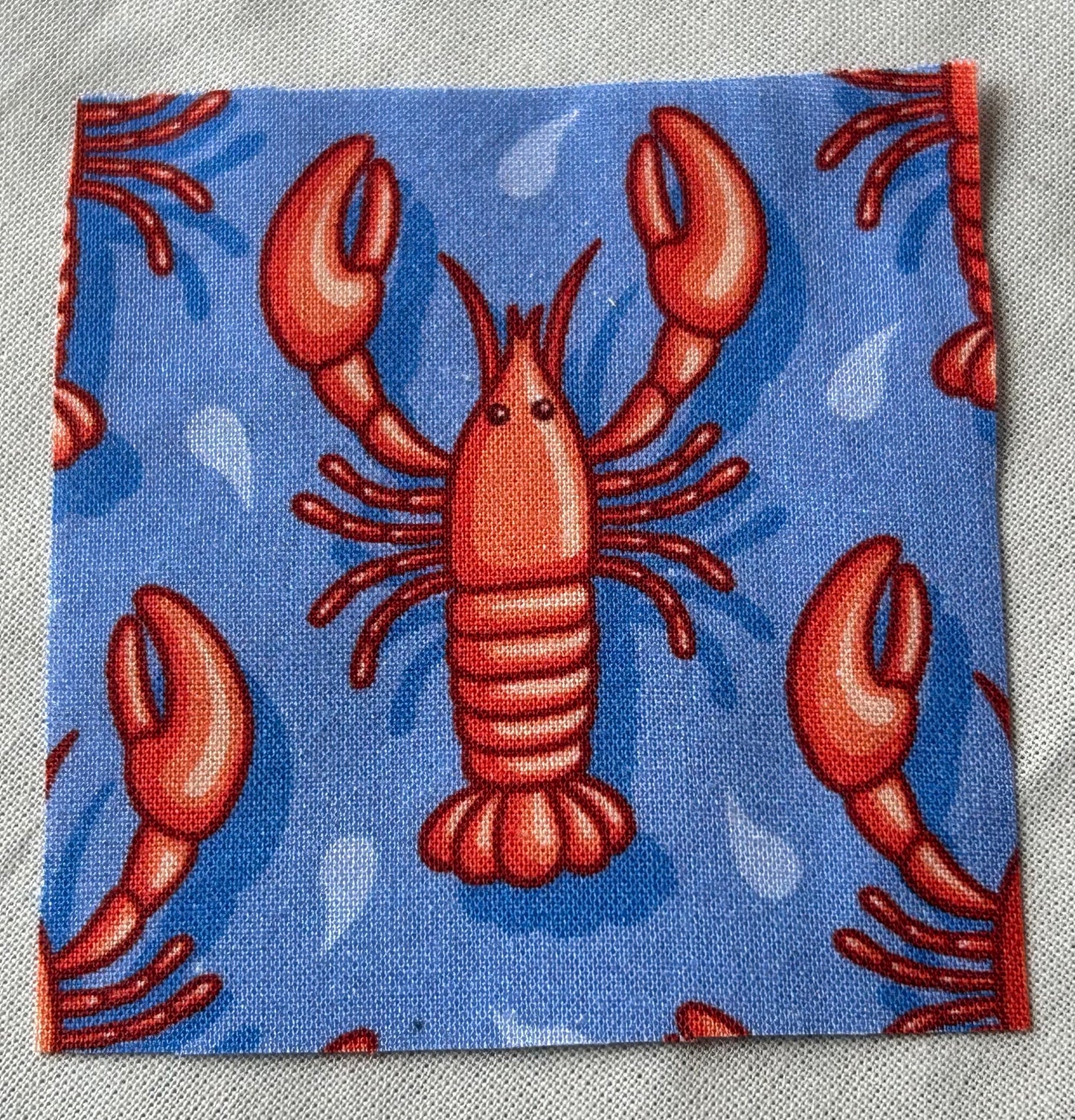 Book Sleeves - Pre Order