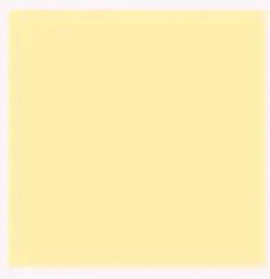 Trolley Tokens - PLAIN - Assorted Colours